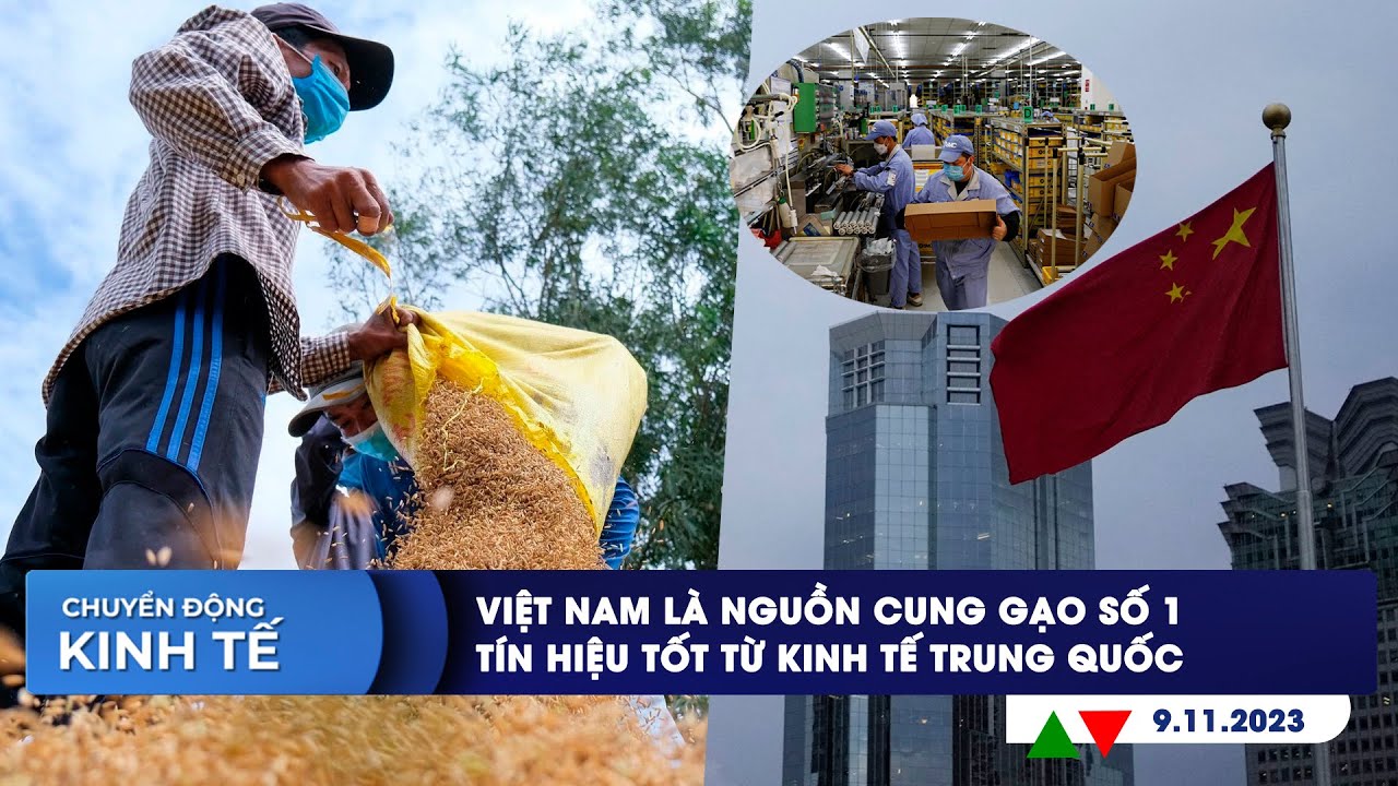 CHUYỂN ĐỘNG KINH TẾ ngày 9/11: Việt Nam là nguồn cung gạo số 1 | Tín hiệu tốt từ kinh tế Trung Quốc