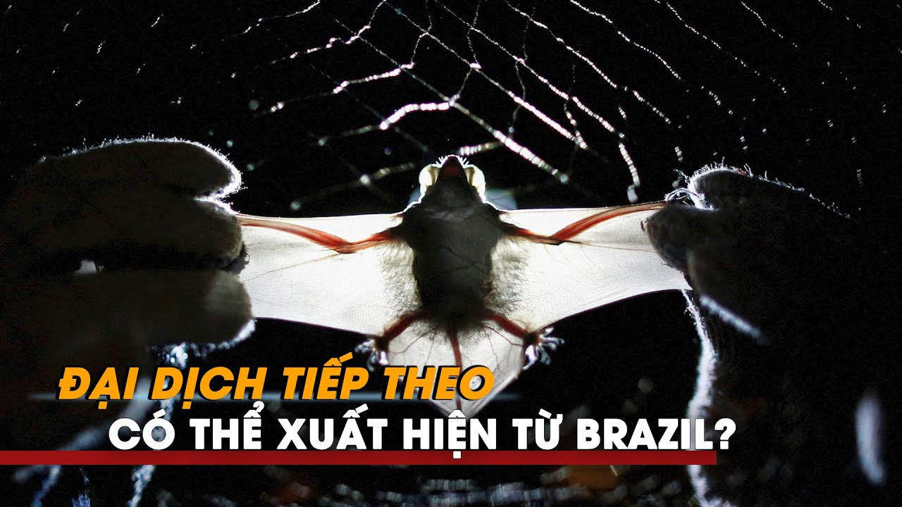 Tại sao đại dịch tiếp theo có thể xuất hiện từ Brazil?