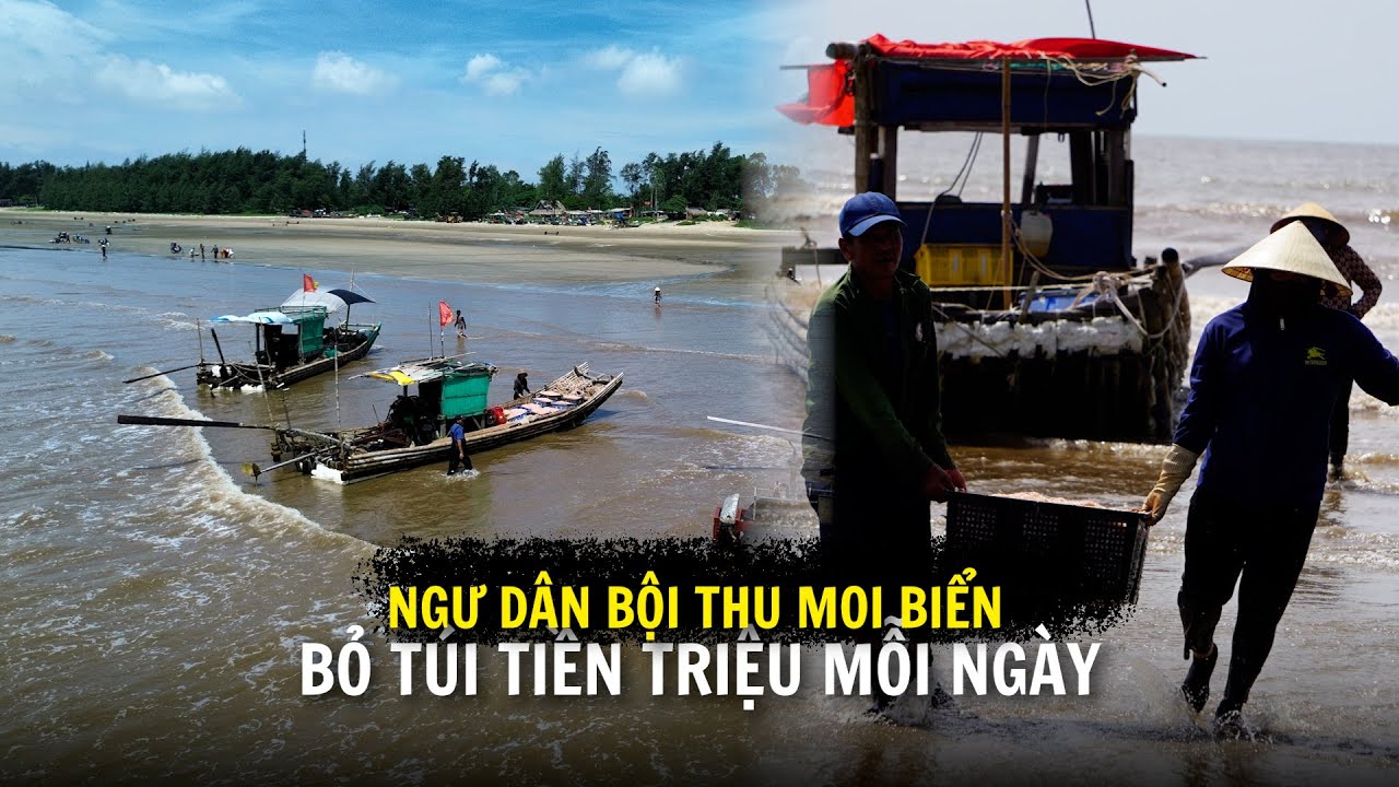 Chỉ trong buổi sáng kiếm tiền triệu, ngư dân rộn ràng vào mùa moi sớm