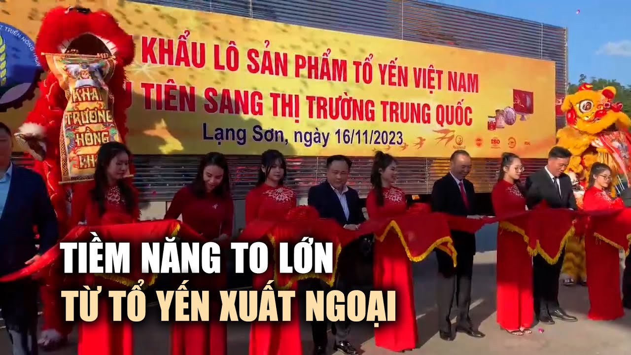 Tiềm năng to lớn từ tổ yến xuất ngoại