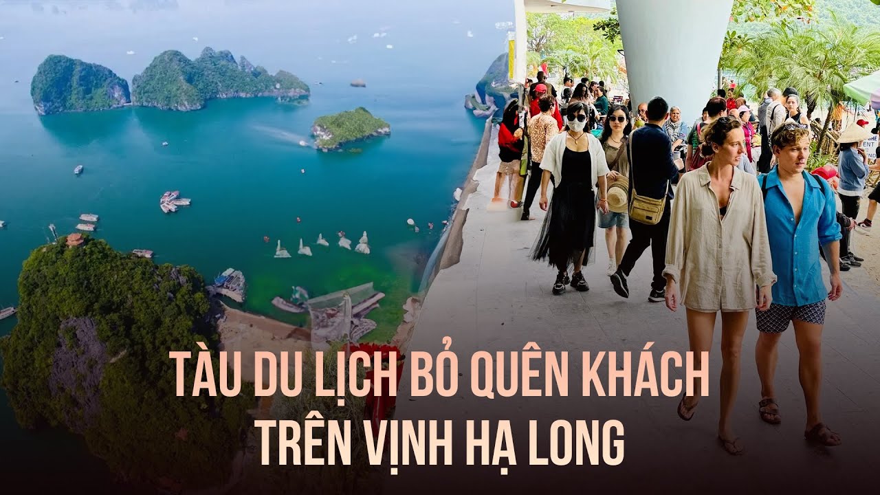 Xác minh vụ tàu du lịch bỏ quên khách trên vịnh Hạ Long