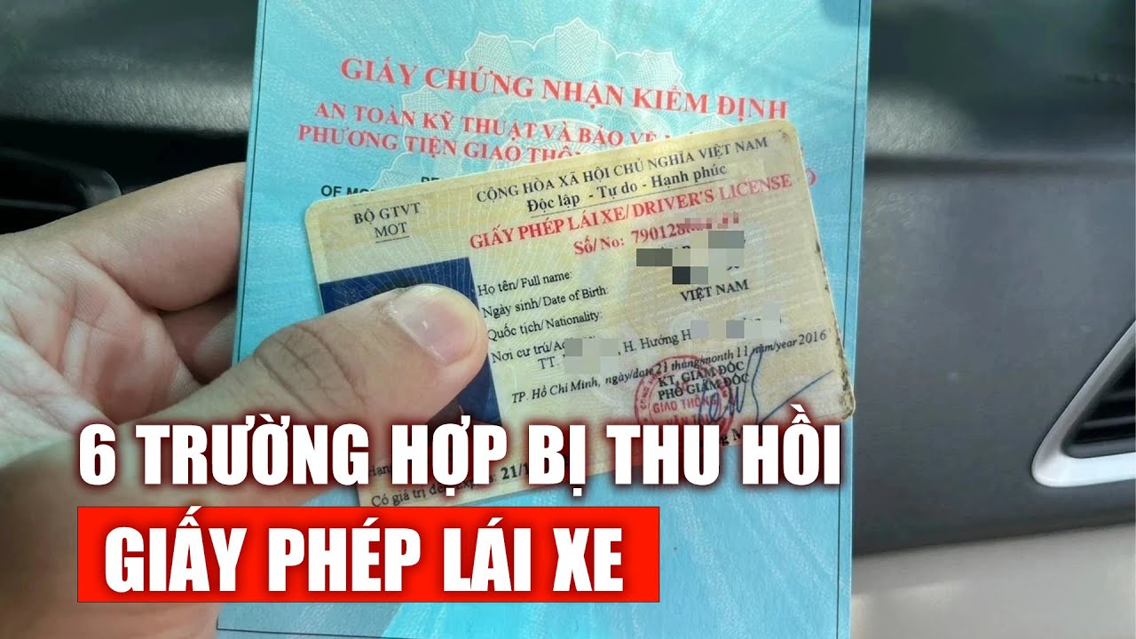 6 trường hợp bị thu hồi giấy phép lái xe từ ngày 1/6, tài xế cần biết