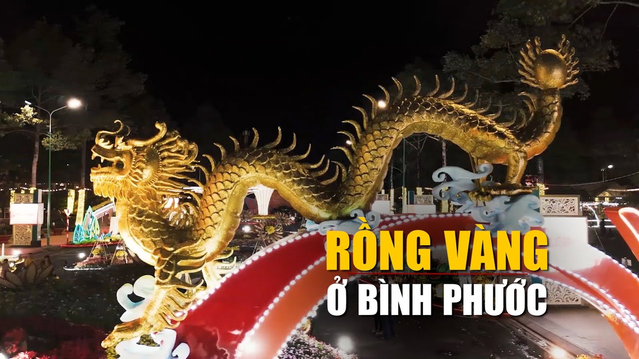 Cặp đôi rồng vàng ấn tượng ở Bình Phước: Người dân khen ‘đẹp hơn trên mạng’