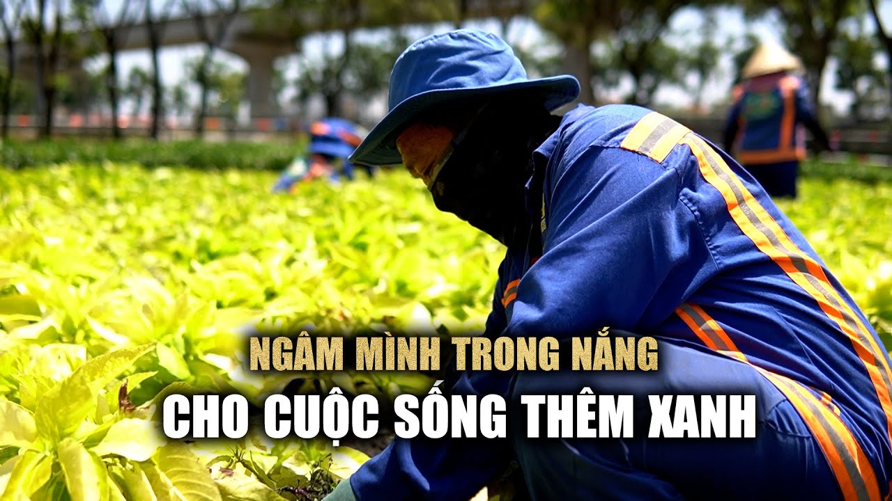 Nghề chăm sóc cây xanh: Nhọc nhằn mưu sinh giữa nắng gắt Sài Gòn