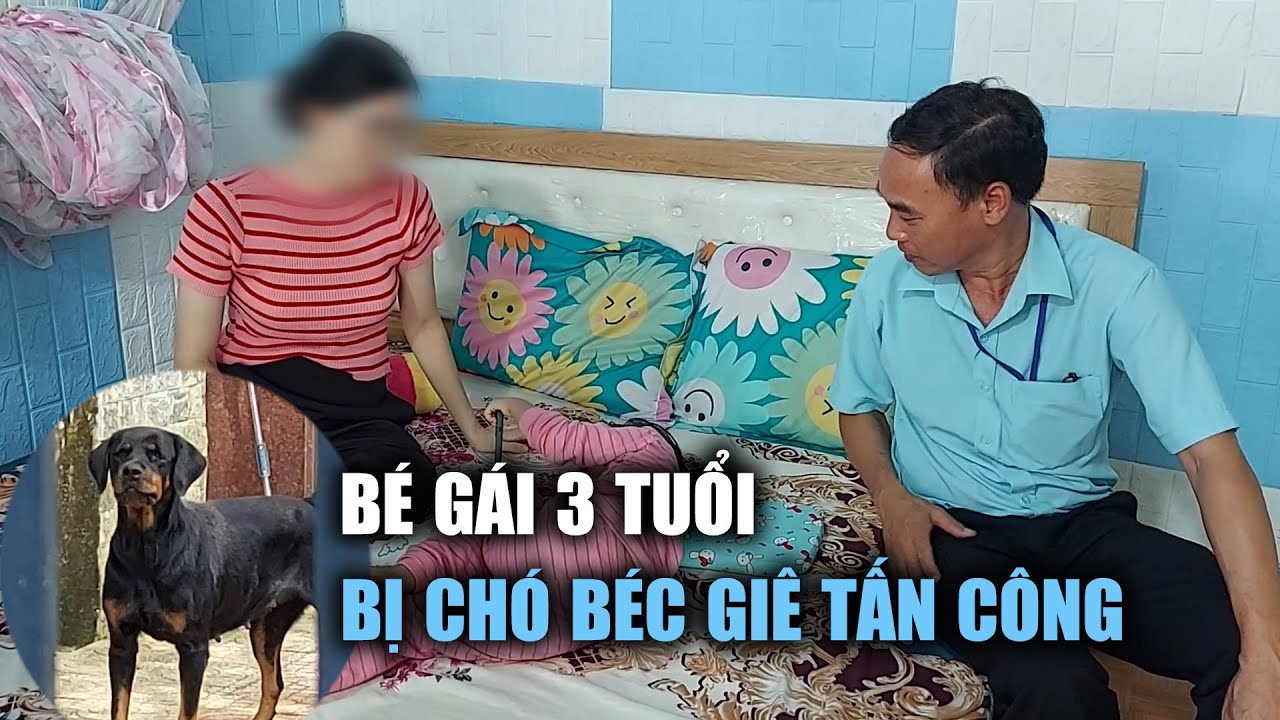 Mẹ cứu con gái 3 tuổi bị 2 con chó béc giê hàng xóm tấn công