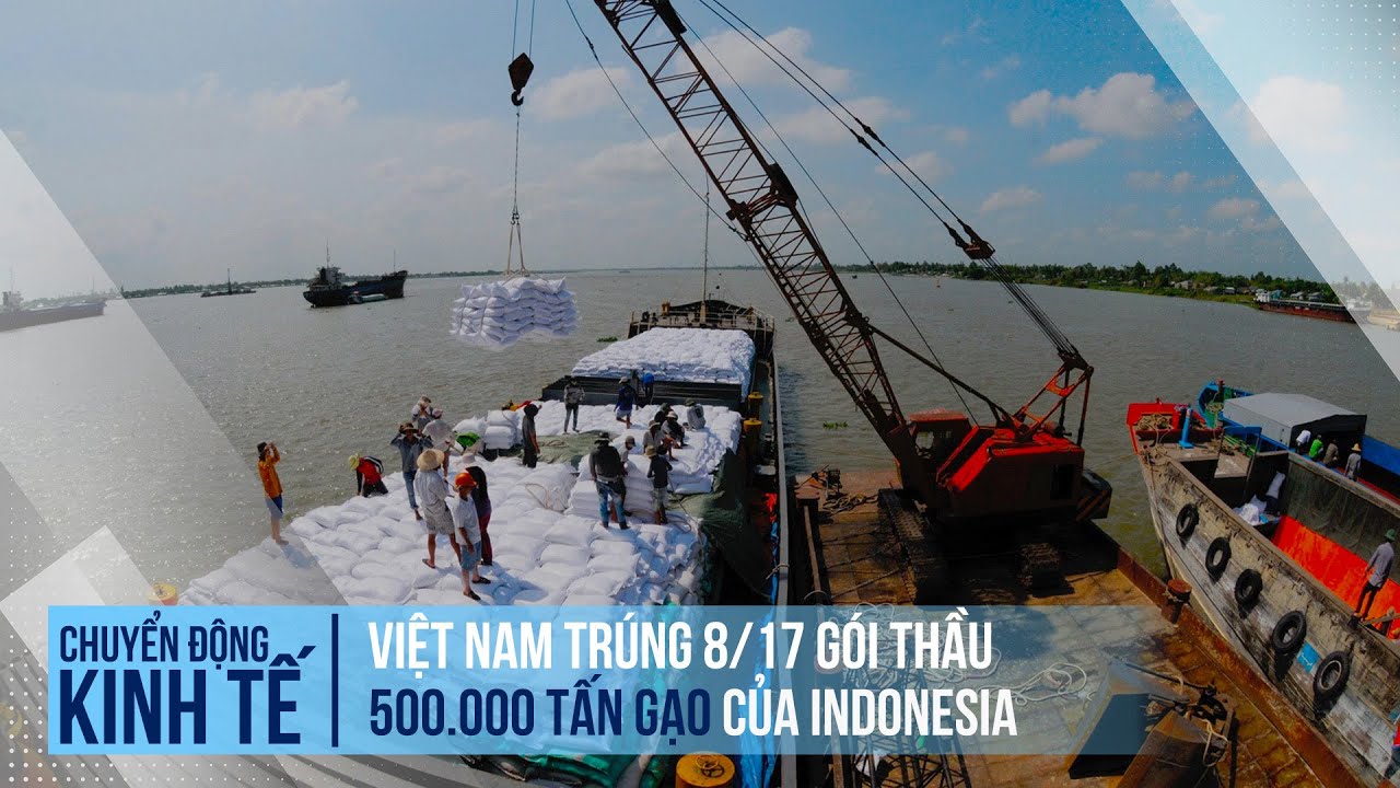 Việt Nam trúng 8/17 gói thầu 500.000 tấn gạo của Indonesia | Chuyển động kinh tế