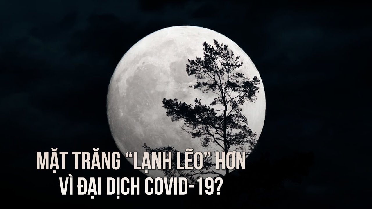 Mặt trăng cũng bị ảnh hưởng bởi dịch Covid-19?