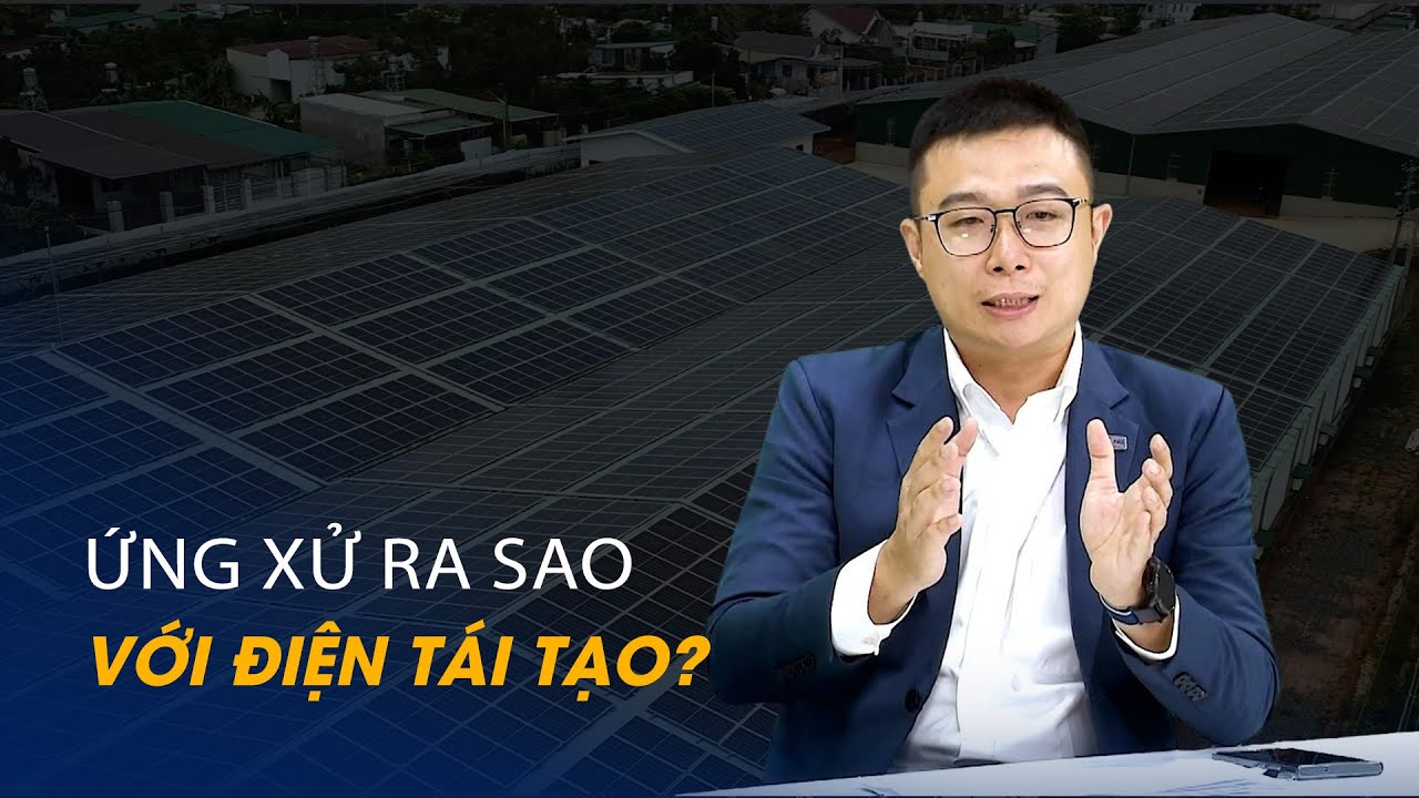 Vấn đề và Giải pháp: Ứng xử ra sao với điện tái tạo? | Chuyển động kinh tế