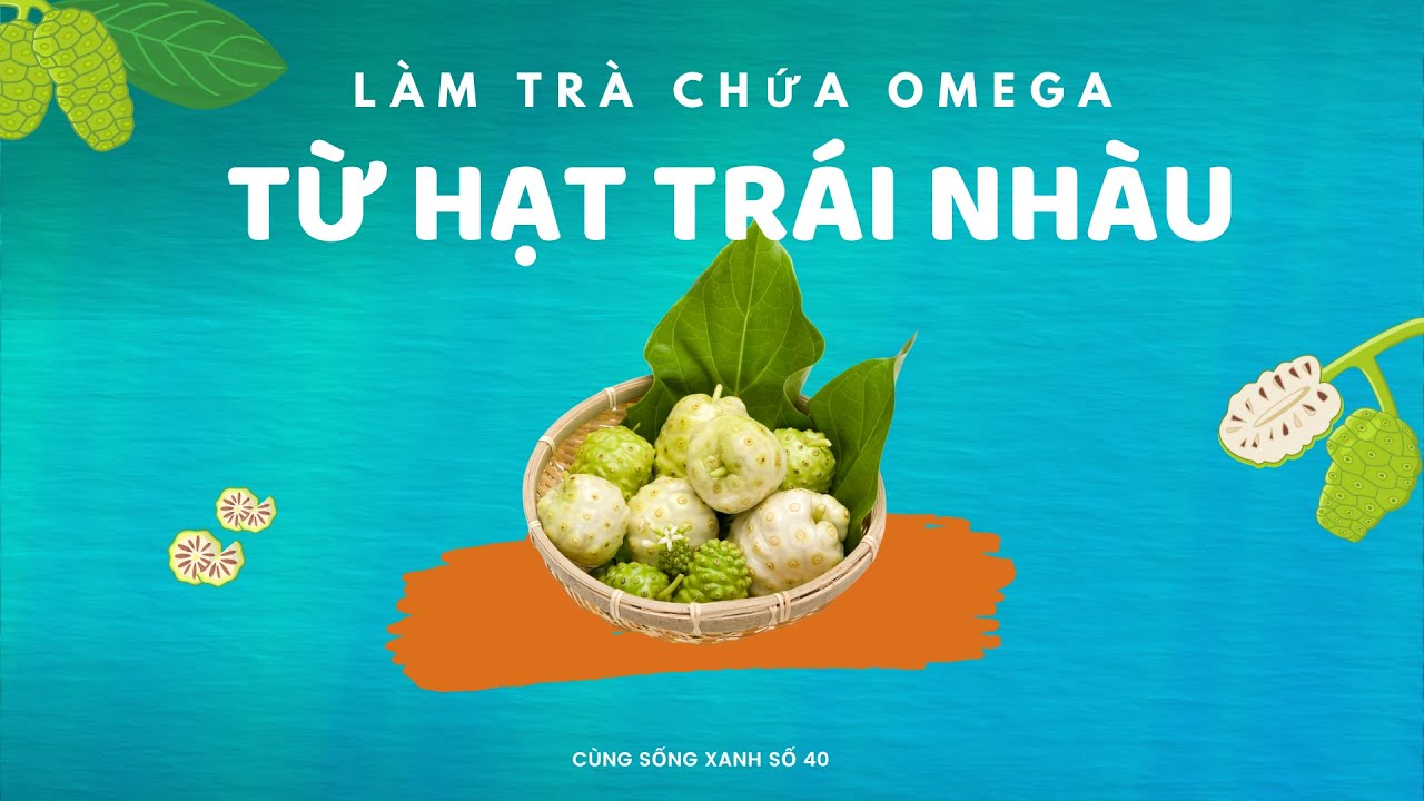 Cùng sống xanh số 40: Tận dụng hạt trái nhàu chế biến được trà chứa Omega