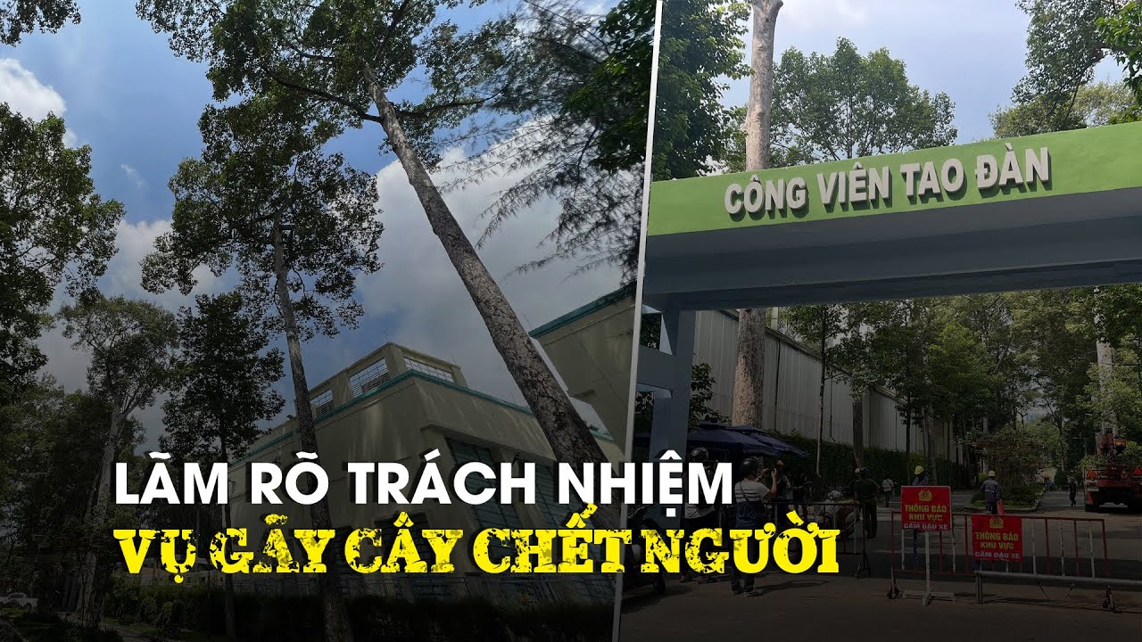 Gãy cây xanh công viên Tao Đàn: Công an làm rõ trách nhiệm tổ chức, cá nhân