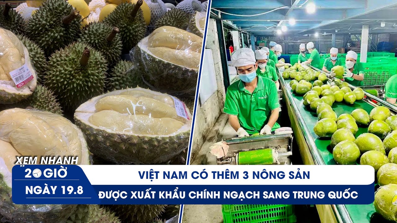 XEM NHANH 20H 19/8: Ngày vui nông sản Việt Nam - sầu riêng đông lạnh được cấp phép vào Trung Quốc