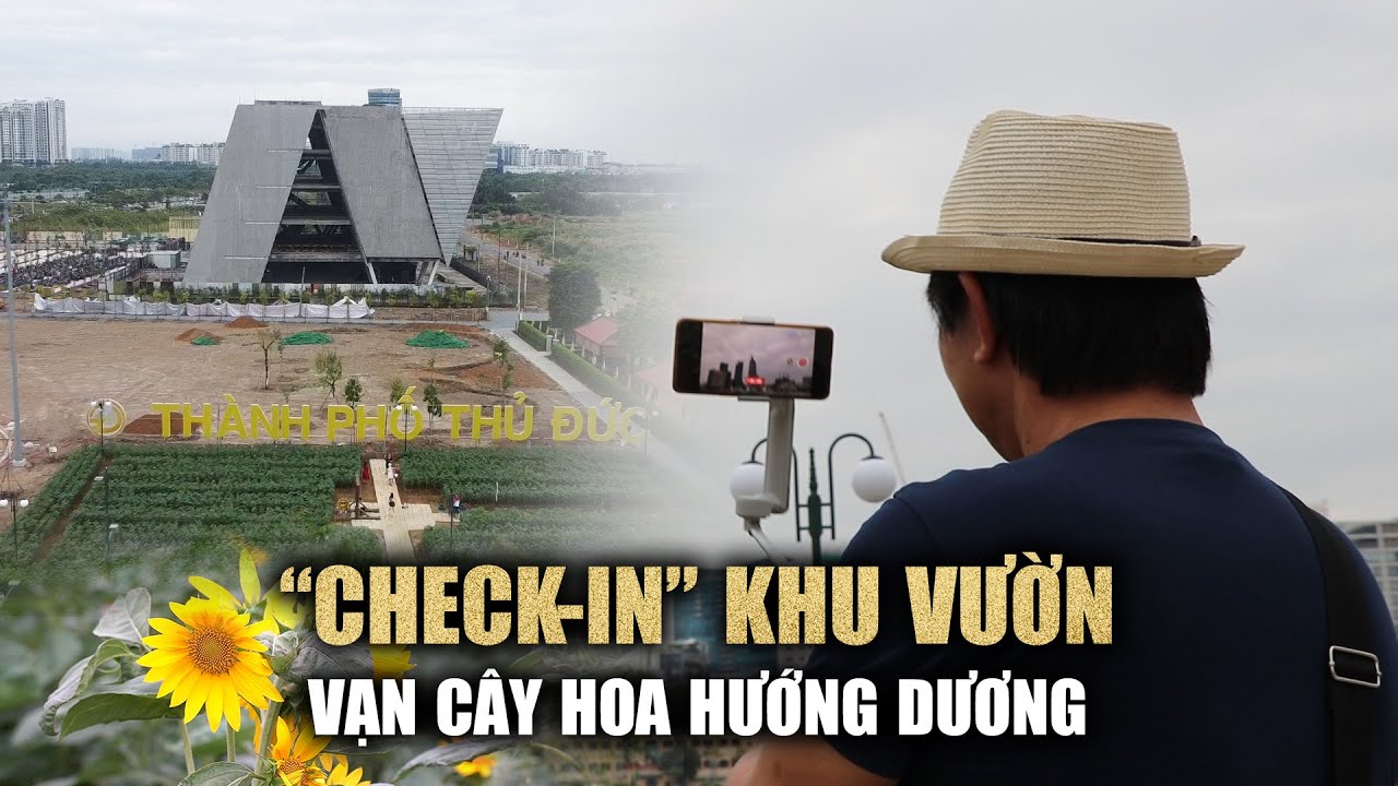 Háo hức "check-in" khu vườn vạn cây hoa hướng dương bên sông Sài Gòn