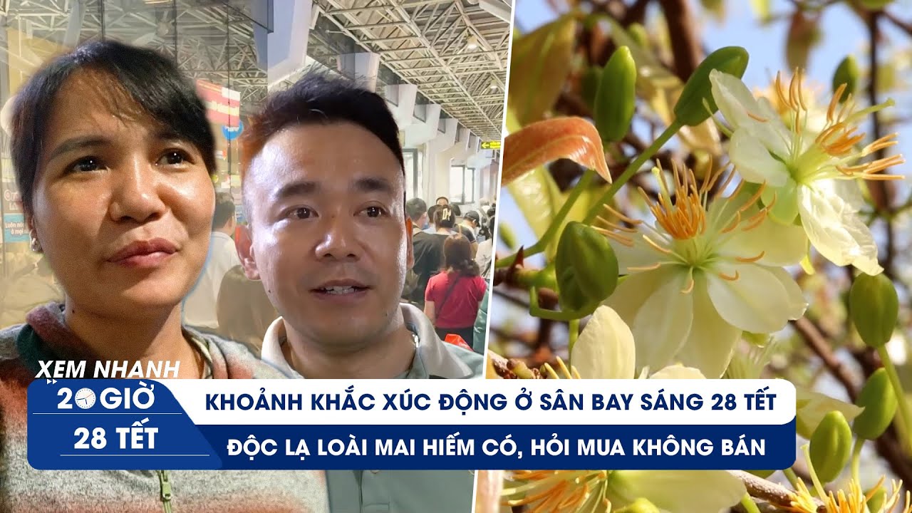 XEM NHANH 20H ngày 28 tết: Khoảnh khắc xúc động ở sân bay | Độc lạ hoa mai "ngàn cây có một"