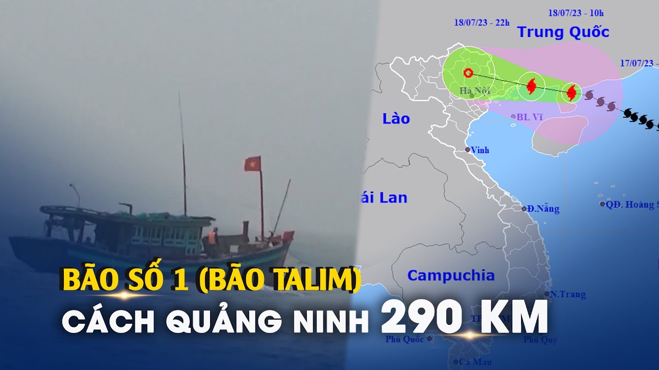 KHẨN CẤP: Bão số 1 (bão Talim) chỉ còn cách Móng Cái 290 km