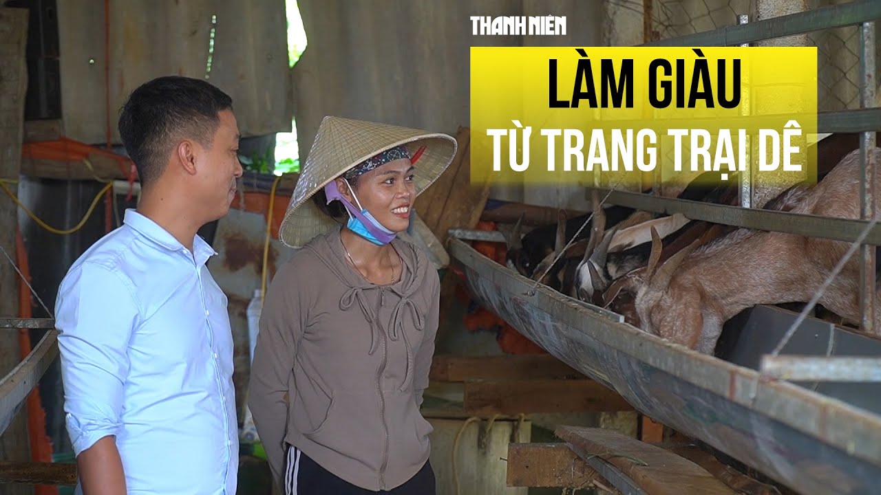 Vay vốn qua Đoàn thanh niên, vợ chồng trẻ xã miền núi làm giàu từ trang trại dê