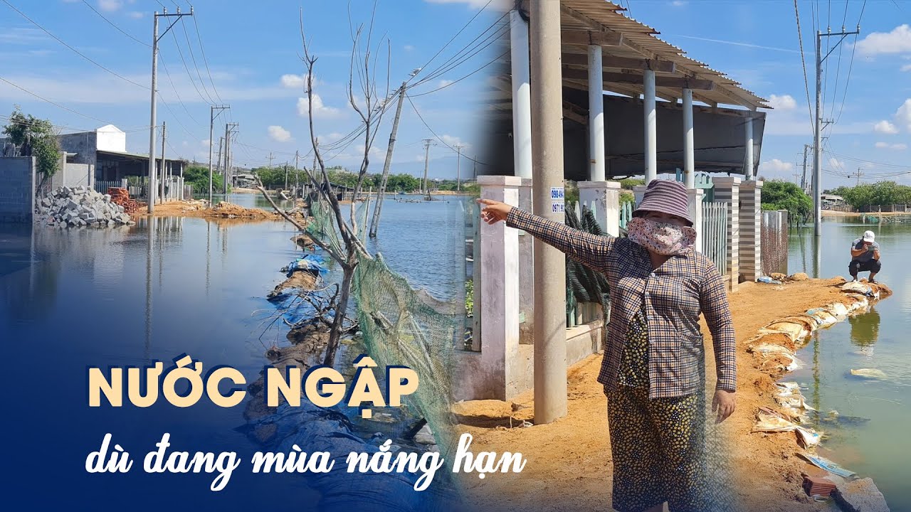 Ninh Thuận: Người dân kêu trời vì nước ngập dù đang mùa khô hạn