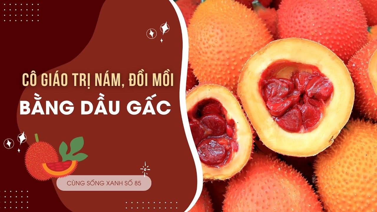 Cùng sống xanh số 85: Cô giáo trị nám, đồi mồi bằng dầu gấc