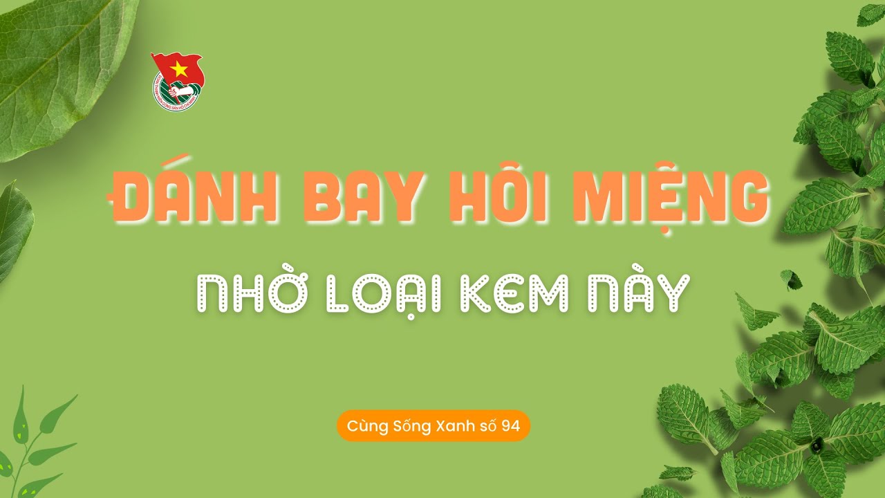 Cùng sống xanh số 94: đánh bay hôi miệng nhờ loại kem này