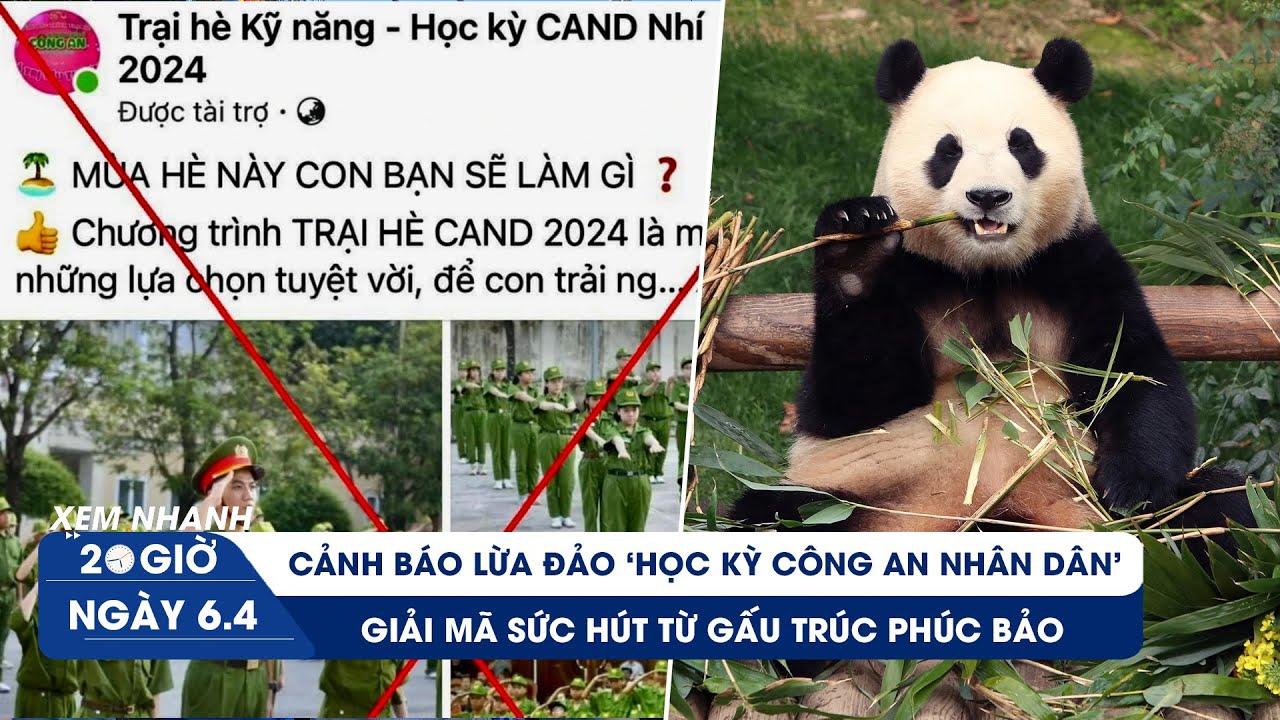 XEM NHANH 20H ngày 6/4: Nở rộ lừa đảo “học kỳ công an nhân dân” | Giải mã sức hút gấu trúc Phúc Bảo