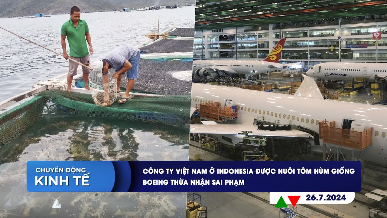 CHUYỂN ĐỘNG KINH TẾ 26/7: Công ty VN ở Indonesia được nuôi tôm hùm giống | Boeing thừa nhận sai phạm