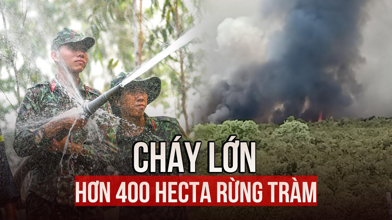 Cháy lớn hơn 400 hecta rừng tràm ở Kiên Giang