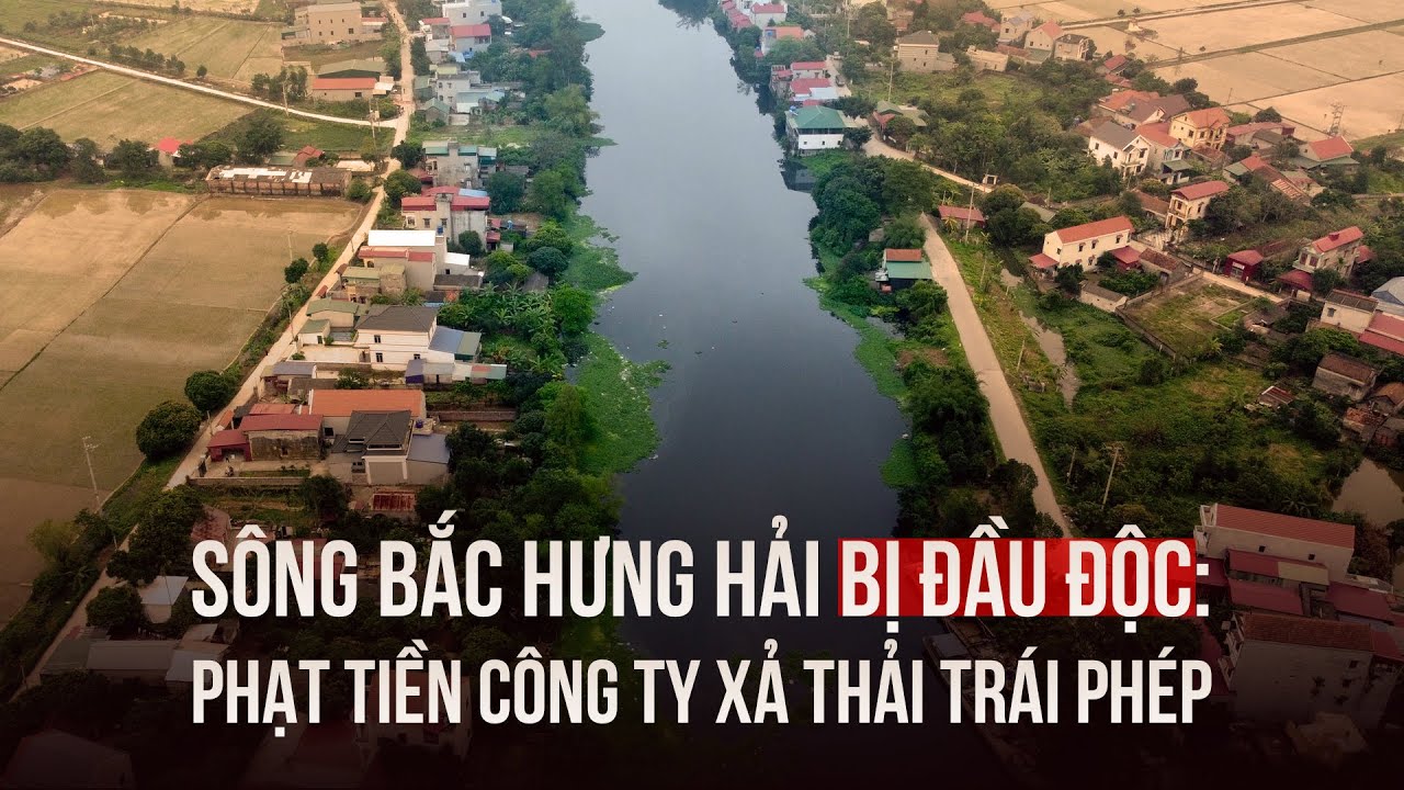 Sông Bắc Hưng Hải bị đầu độc: Công ty xả thải trái phép bị phạt 350 triệu