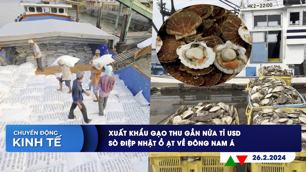 CHUYỂN ĐỘNG KINH TẾ ngày 26.2: Xuất khẩu gạo thu gần nửa tỉ USD | Sò điệp Nhật ồ ạt về Đông Nam Á