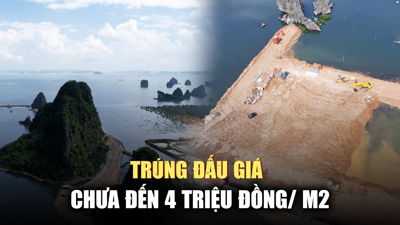 Lấn vùng đệm vịnh Hạ Long làm đô thị: Trúng đấu giá chưa đến 4 triệu đồng/m2