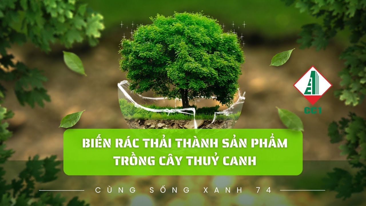 Cùng sống xanh số 74: Trồng rau thuỷ canh từ rác thải