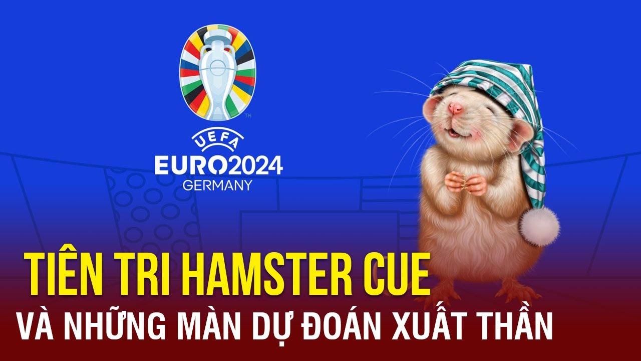 'Tiên tri' Hamster Cue và những màn dự đoán xuất thần tại Euro 2024 |TTVH