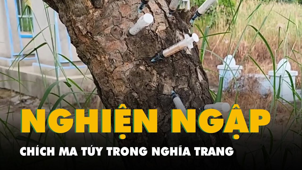 Công an vào cuộc sau phản ánh chích ma túy trong nghĩa trang Bình Hưng Hòa