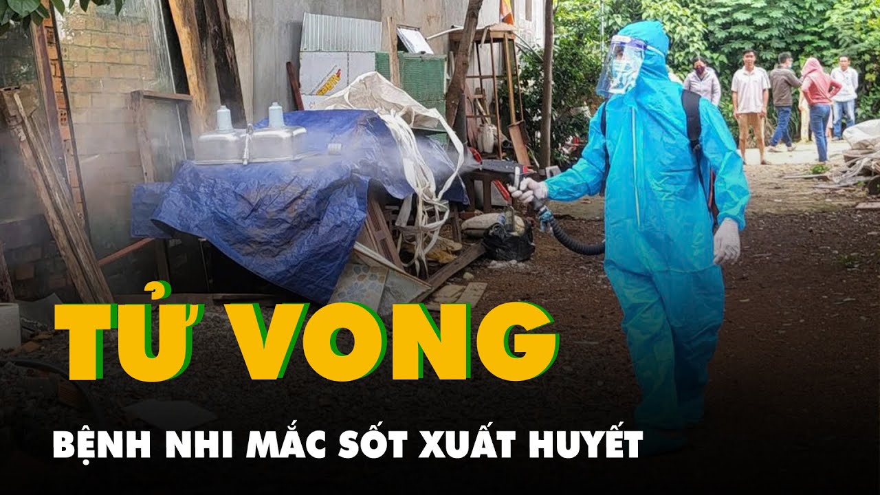 Một bệnh nhi ở Đắk Lắk tử vong do sốt xuất huyết