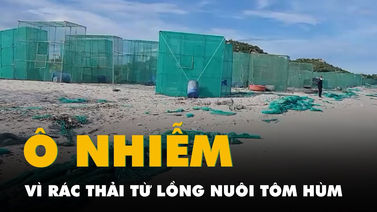 Biển Cam Ranh bị ô nhiễm vì rác thải từ lồng nuôi tôm hùm