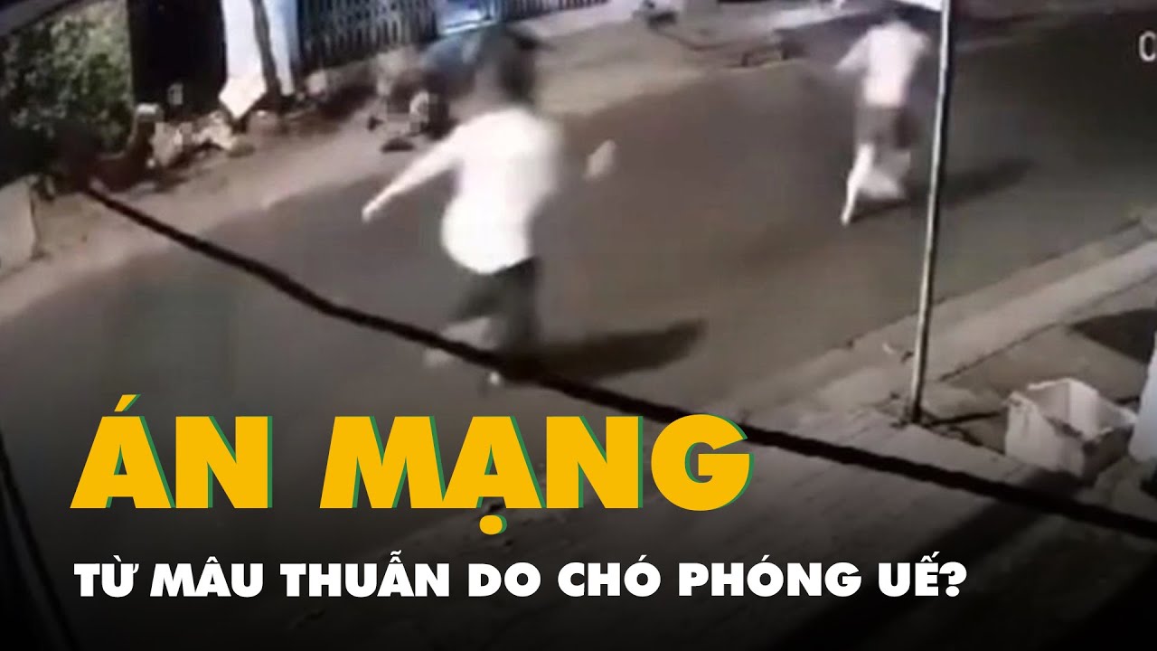 Án mạng ở quận Bình Tân từ mâu thuẫn nuôi chó: Camera ghi nhận gì?