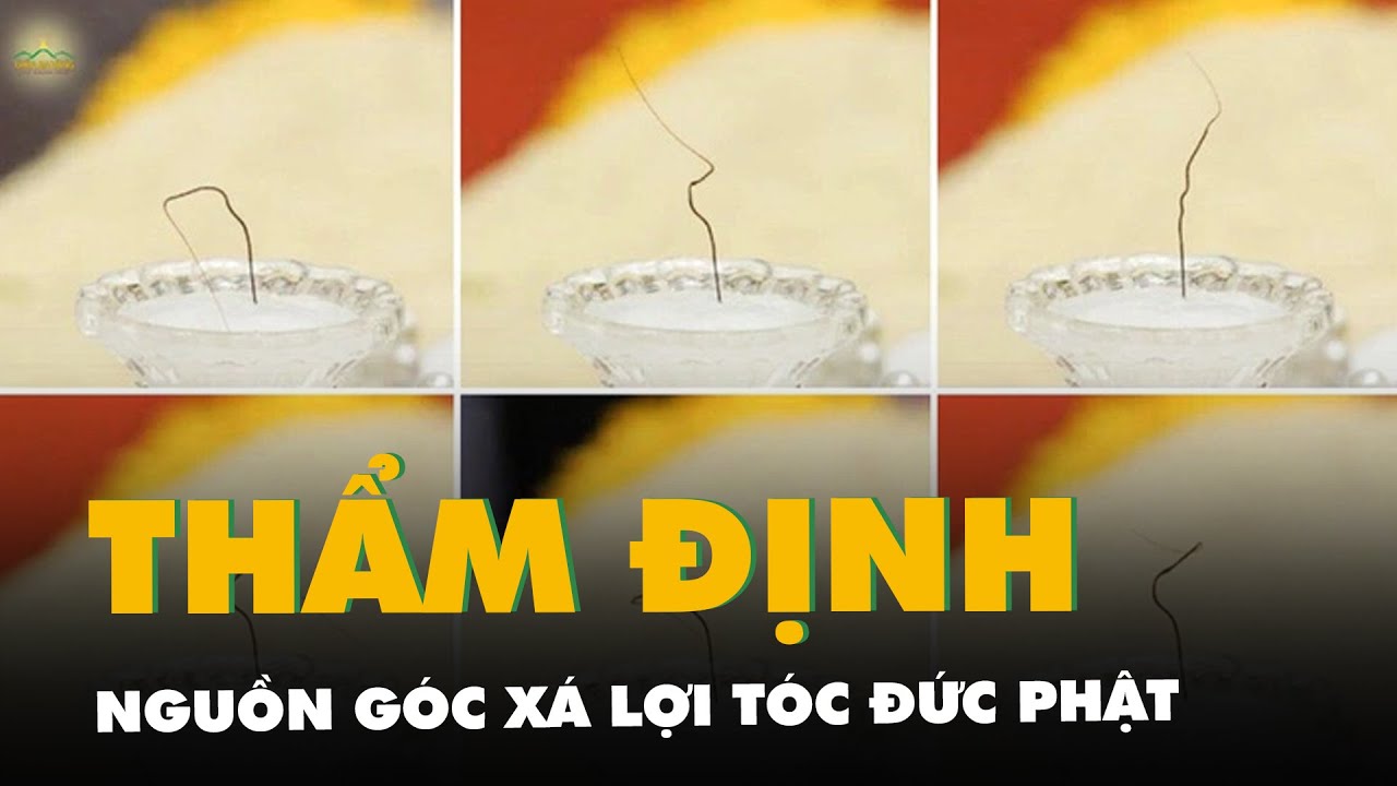 Đề nghị Giáo hội Phật giáo Việt Nam thẩm định nguồn gốc xá lợi tóc Đức Phật