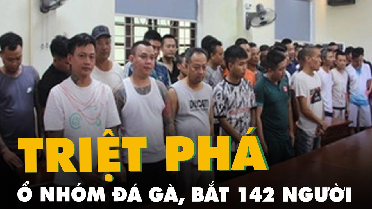 Triệt phá ổ nhóm đá gà ‘khủng’ ở Thanh Hóa, bắt giữ 142 người