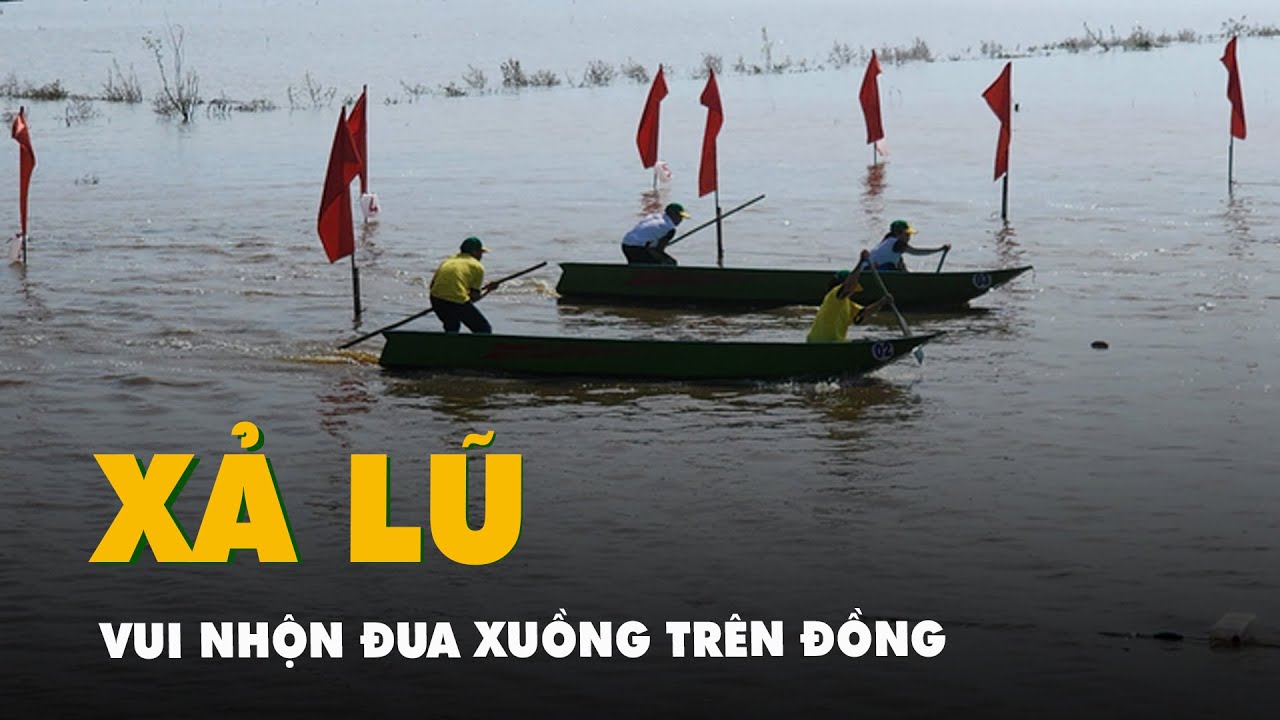 Vui nhộn đua xuồng trên cánh đồng xả lũ An Giang