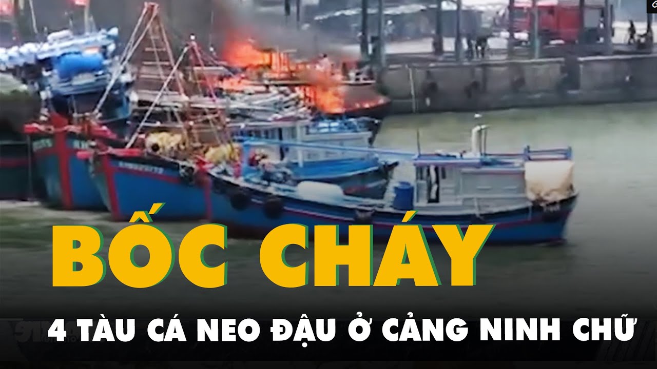 Cháy 4 tàu cá đang neo đậu tại cảng ở Ninh Thuận, nhiều tàu kịp di dời