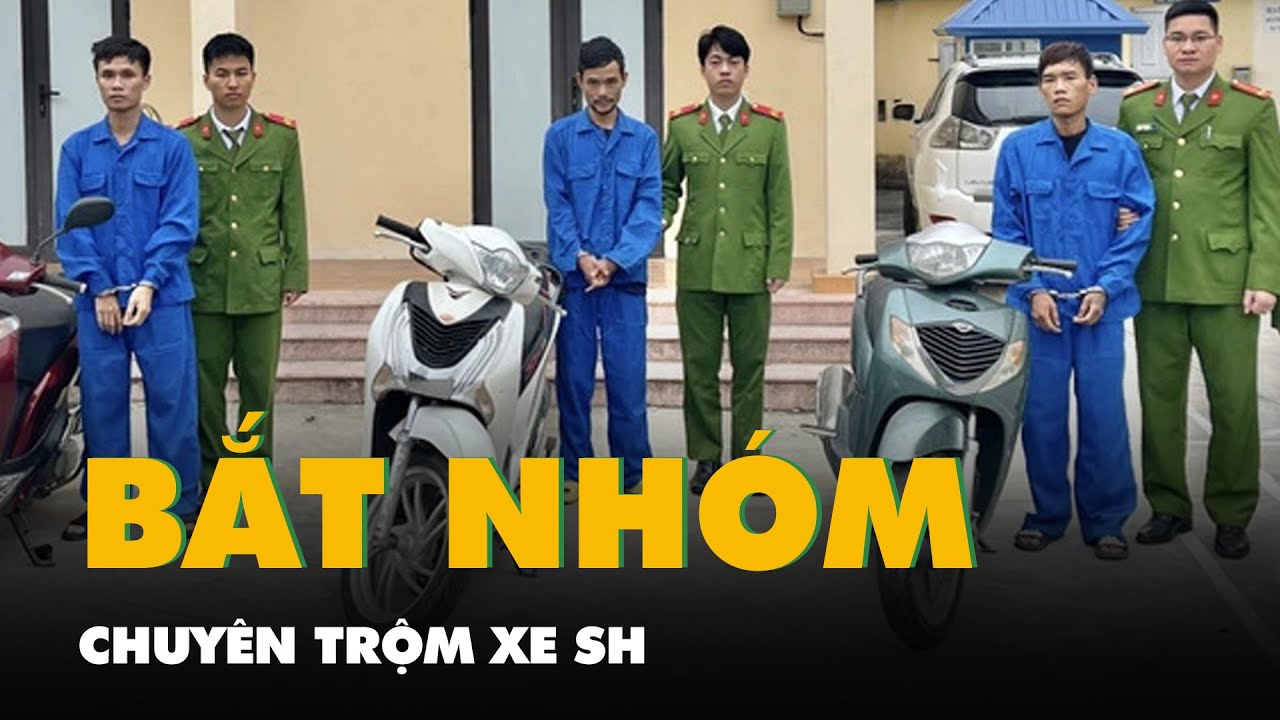 Bắt nhóm chuyên trộm xe SH