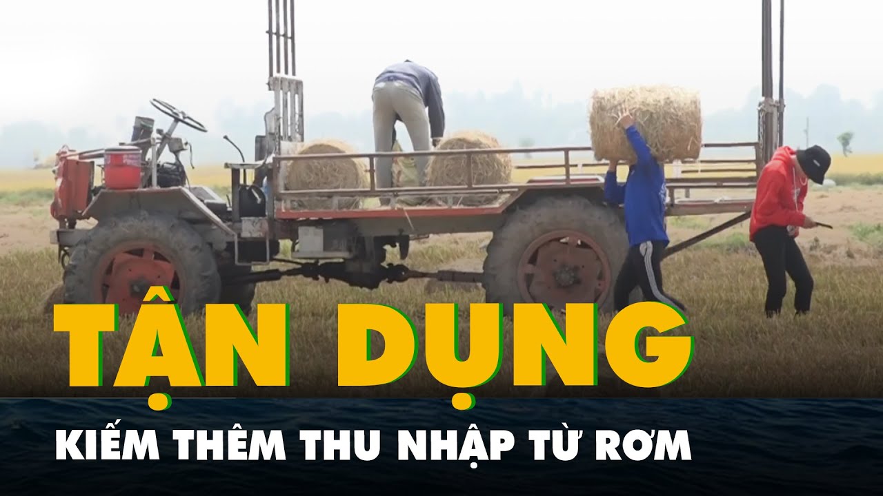 Nông dân miền Tây tận dụng rơm kiếm thêm thu nhập, không phải đốt đồng