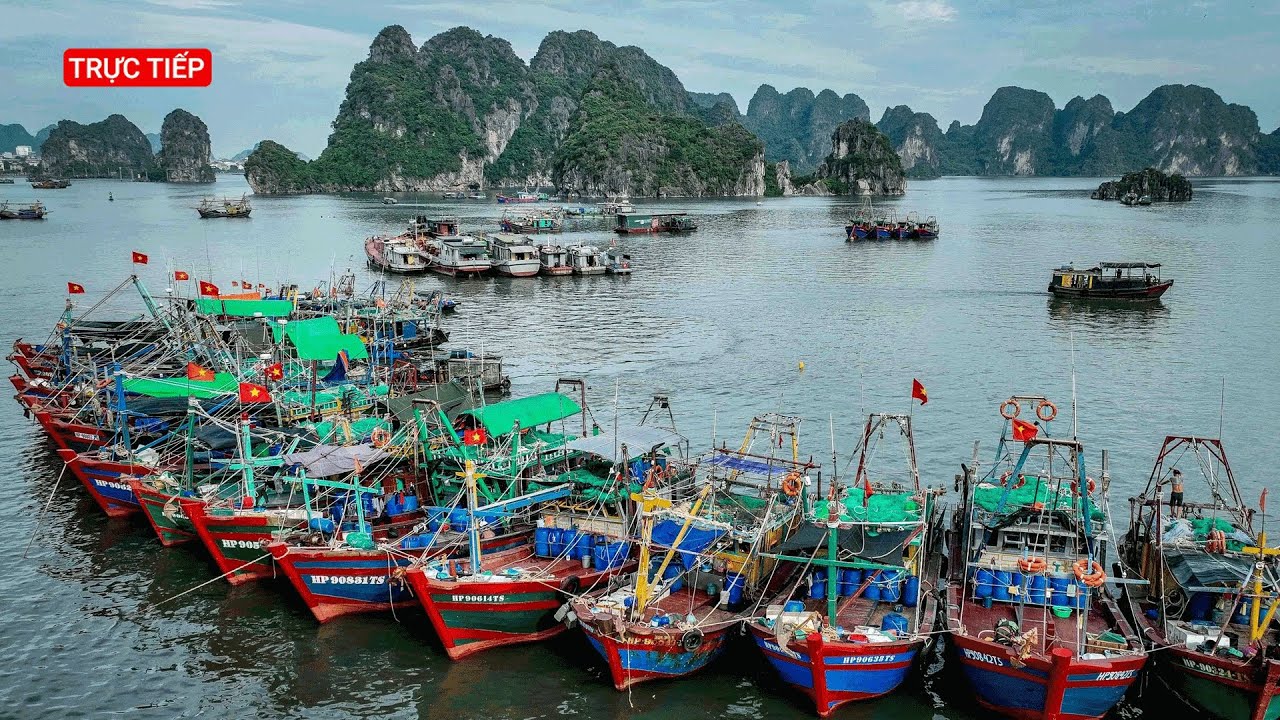 Trực tiếp: Bão số 1 - Talim suy yếu, tâm bão cách Móng Cái 100km