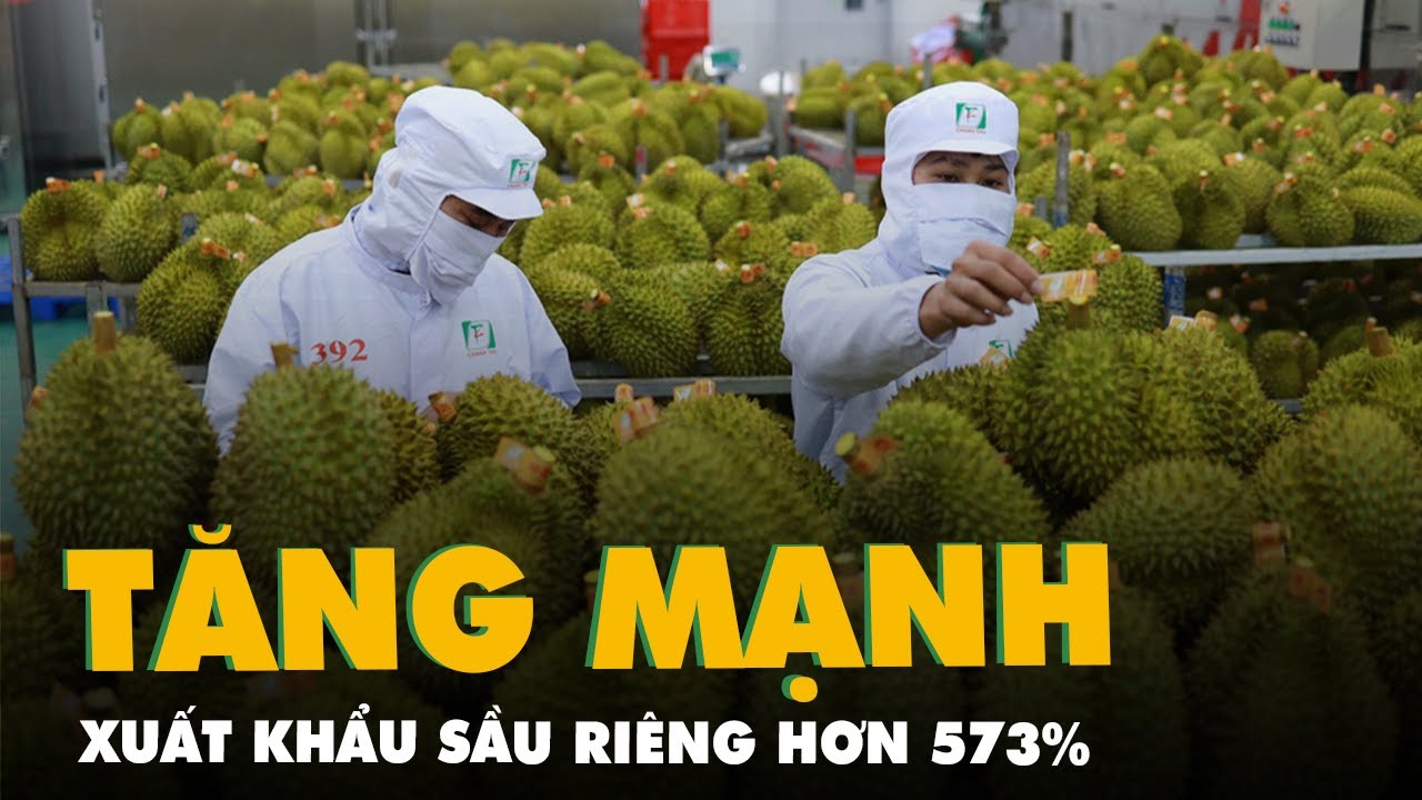 Tin tức sáng 3-6: Xuất khẩu sầu riêng tăng rất mạnh, hơn 573%