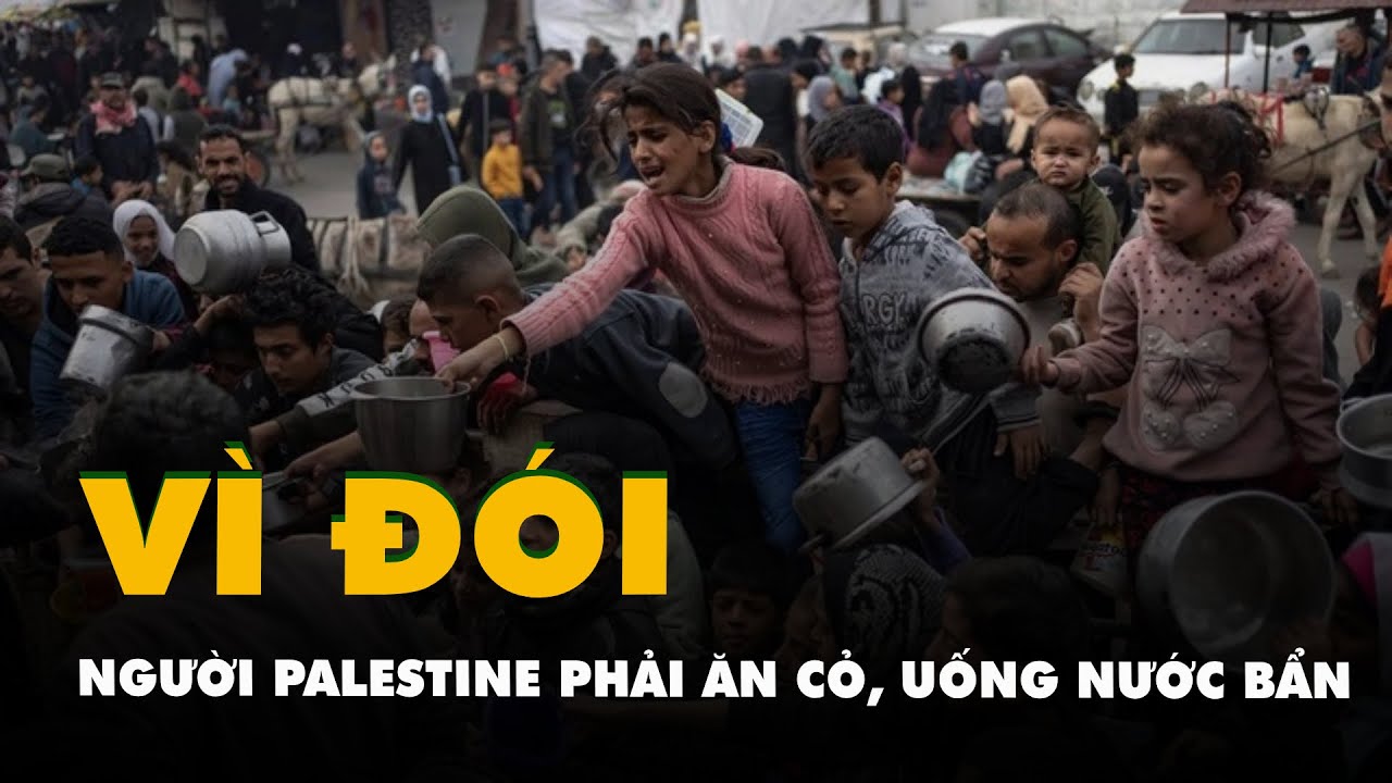 Gaza: Người Palestine phải ăn cỏ, uống nước bẩn vì đói