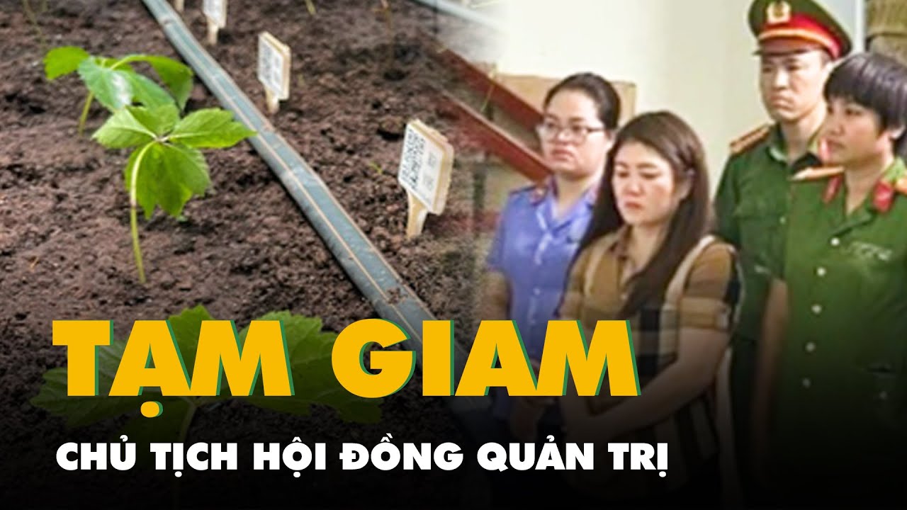 Bắt tạm giam chủ tịch hội đồng quản trị Tập đoàn Mỹ Hạnh