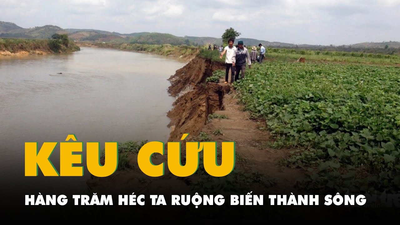 Hàng trăm héc ta ruộng biến thành sông, Đắk Nông kêu cứu lên trung ương