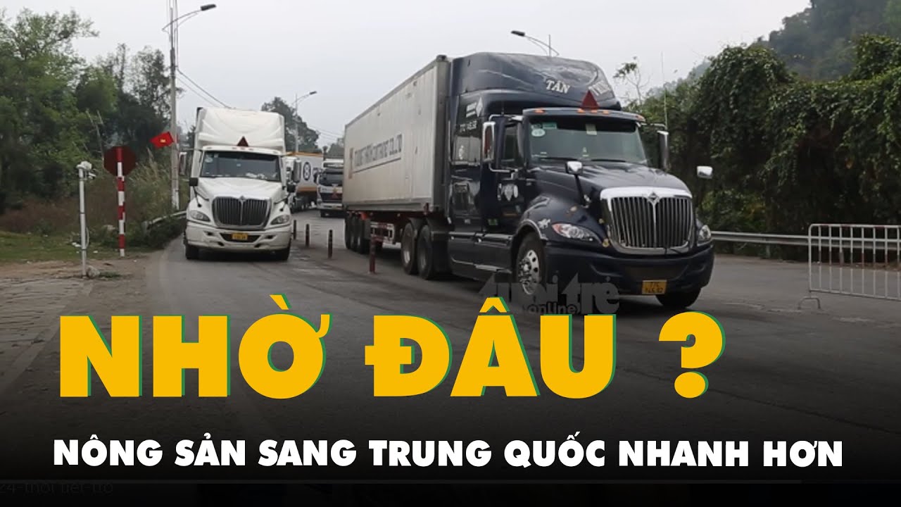 Xuất khẩu nông sản sang Trung Quốc nhanh chóng hơn, nhờ đâu?