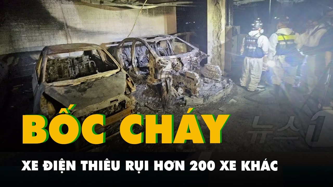 Xe điện tự bốc cháy ở Bồ Đào Nha, thiêu rụi hơn 200 xe khác