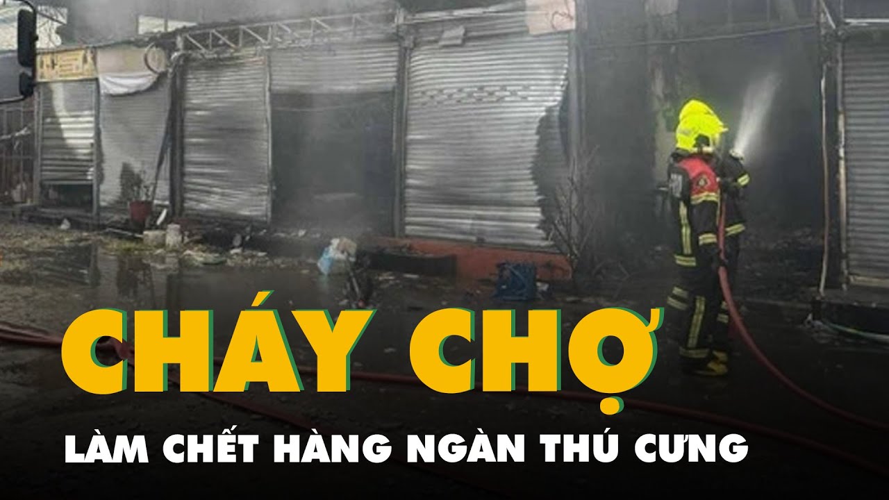 Cháy chợ ở Chatuchak Thái Lan, hàng ngàn thú cưng quý hiếm chết thương tâm