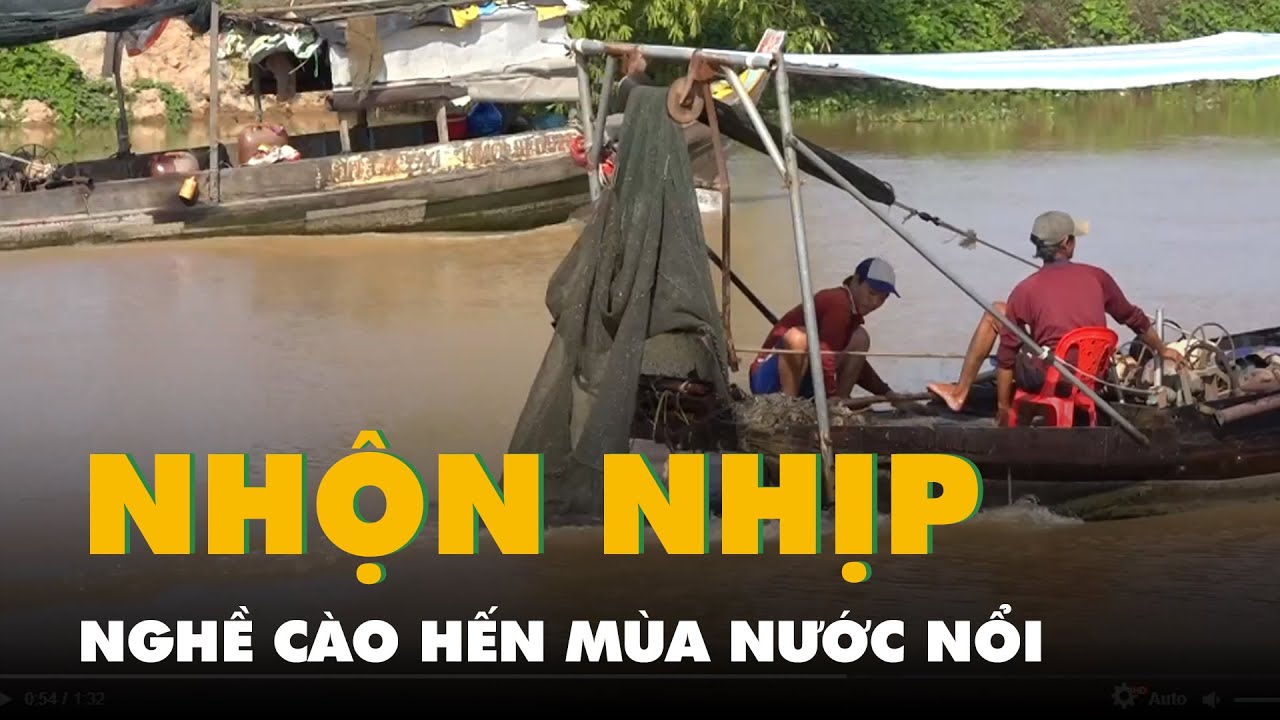 Nhộn nhịp nghề cào hến mùa nước nổi