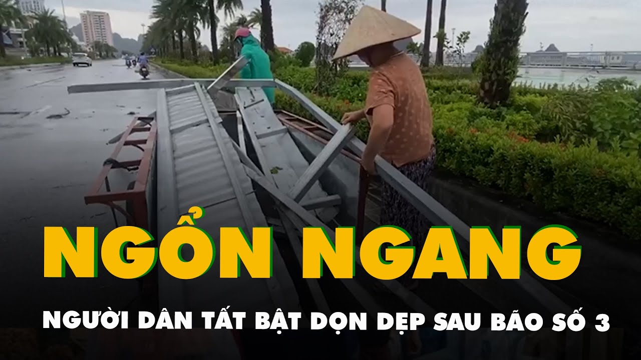 Người dân Hải Phòng và Quảng Ninh tất bật dọn dẹp nhà cửa sau bão số 3